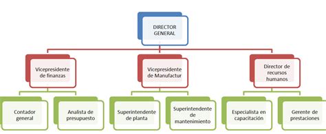 Qu Es La Estructura Organizacional Tipos Y Caracter Sticas Sinnaps