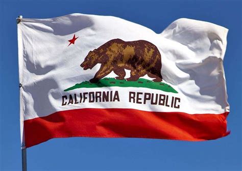 California State Flags Nylon And Polyester 2 X 3 To 5 X 8 Us