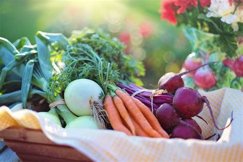 A New Study Finds That Eating Organic Foods Has Major Benefit In Cancer