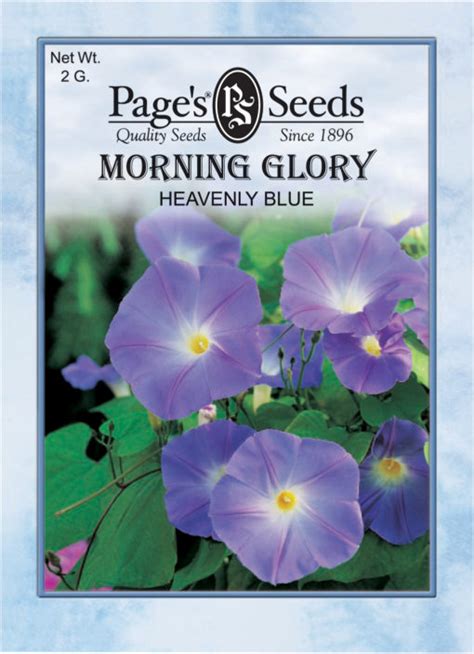 Morning Glory Heavenly Blue The Page Seed Company Inc
