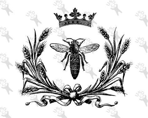 Antique Clipart Queen Bee Crown Frame Instant Download Black And