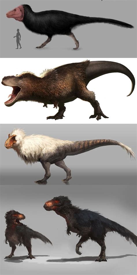 The Tyrannosaurus Rex Had Feathers And Probably Looked Something Like