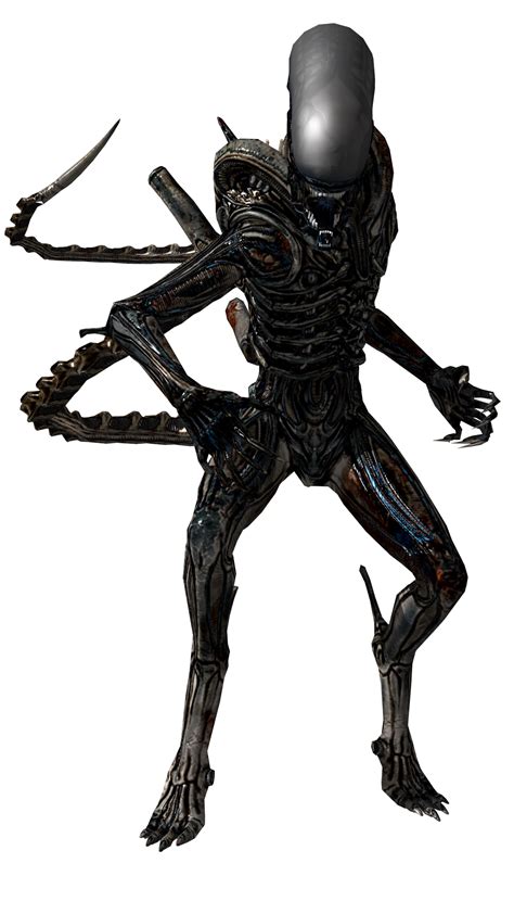 See more ideas about xenomorph, predator, alien vs predator. Alien / Xenomorph