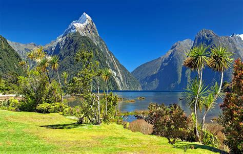 New Zealand - Great Earth Expeditions