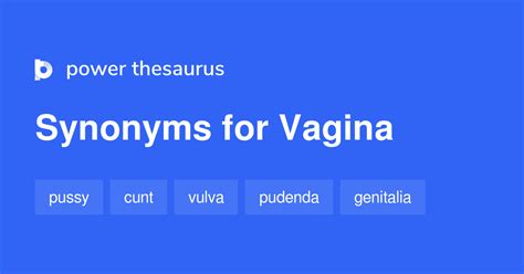 12 Synonyms For Vagina Related To British