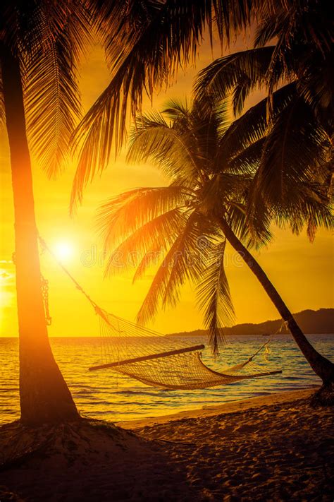 Hammock Silhouette With Palm Trees On A Beautiful At
