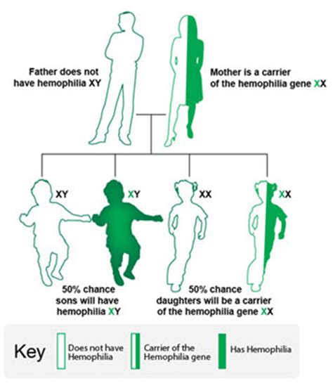 Males are more likely than females to an inherent a trait on the x chromosome. What is Hemophilia | CDC