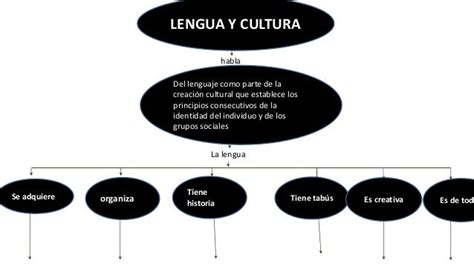 Mapa Conceptual