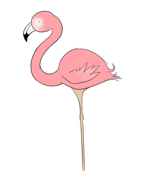 Pin By Tad On Flamingo How To Draw Flamingo Drawing And Illustration