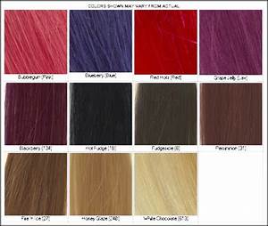 Lena Hoschek How To Use Hair Color Chart Shades Of Red Hair To Desire