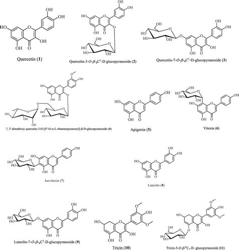 Chemical Structures Of Flavonoids Isolated From Hyphaene Thebaica