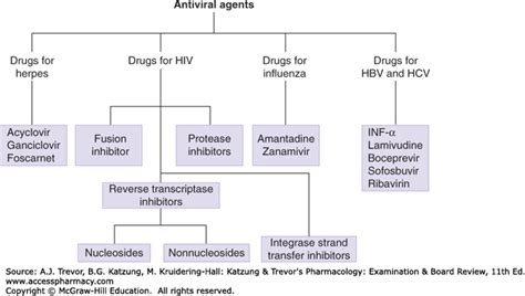 Antiviral Chemotherapy And Prophylaxis Katzung And Trevors Pharmacology