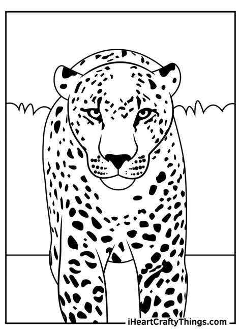 Leopards Coloring Pages Updated 2022