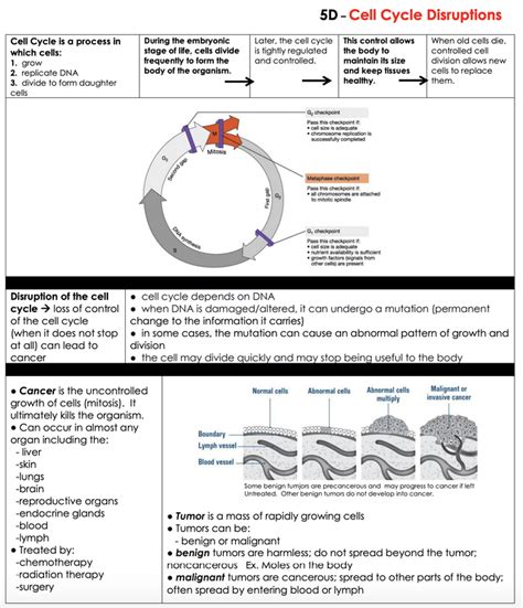 Easily fill out pdf blank, edit, and sign them. DNA & Cell Cycle - LPHS BIOLOGY STAAR REVIEW
