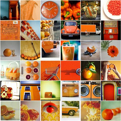 Orange Collage Color Shades Colour Tangerine Orange Color Collage