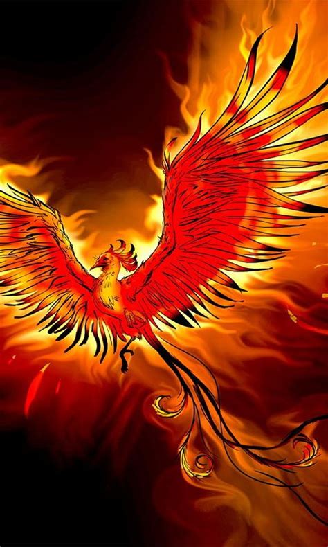 A Red And Black Bird With Orange Flames In The Backgrounnds Is Flying
