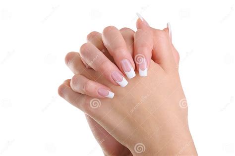 Women Hands With Beauty French Manicure Stock Photo Image Of Clean