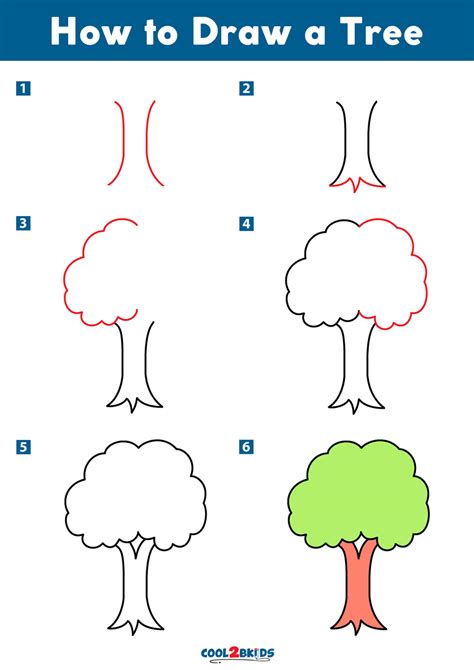 How To Draw A Tree Cool2bkids