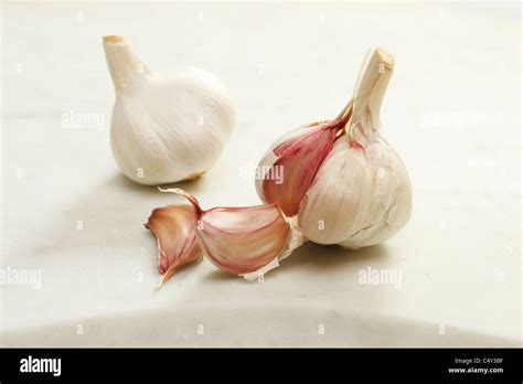 Garlic Bulb Clove Hi Res Stock Photography And Images Alamy