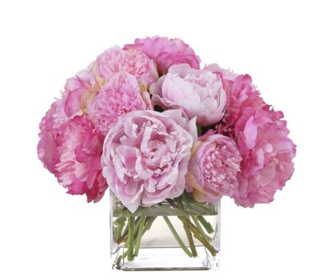 Peony Pink In Glass Cubefaux Watergarden 12 Ndi