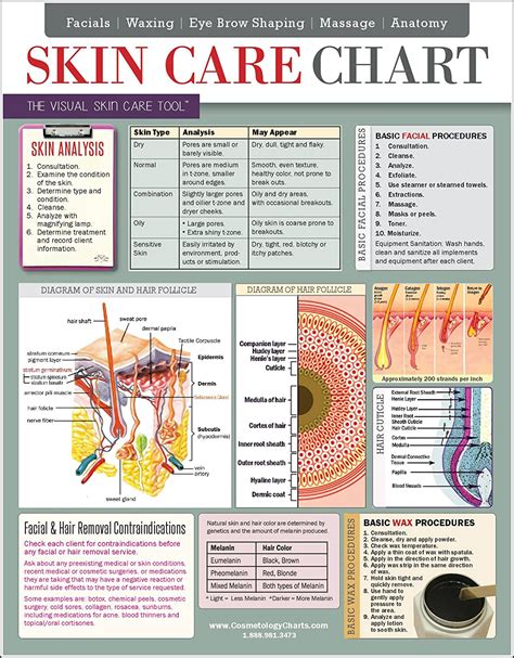 Skin Care Chart 2 Sided Laminated Quick Reference Guide Covers Skin