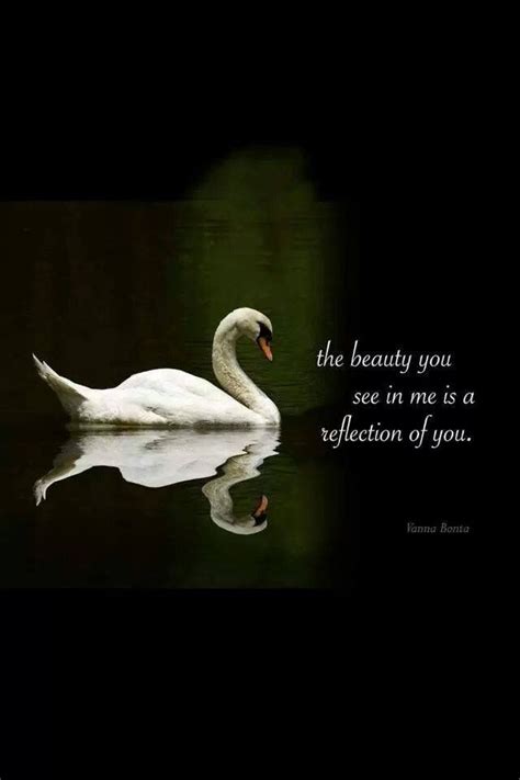 20 Examples Of Inspirational Quotes Swan Quote Riset