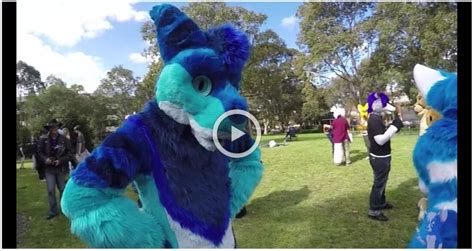 Exclusive First Look At Pocaris Furjam Music Video Only On Furstralia