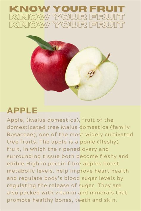 Know Your Fruit A Direct Simple Fruit Guide Apple Nutrition Facts