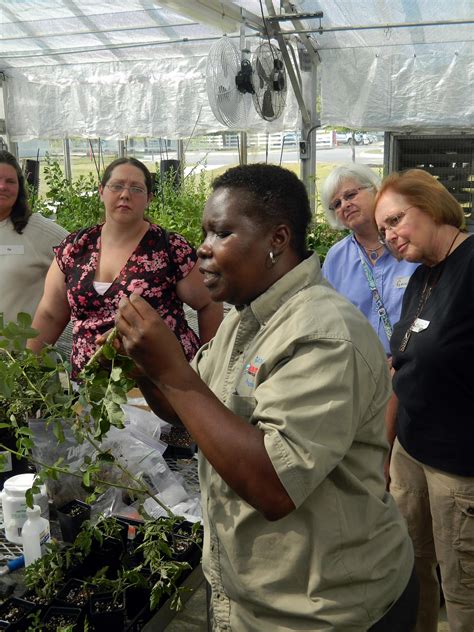 Kent County Master Gardener Workshops Dsu College Of Agriculture Science And Technology