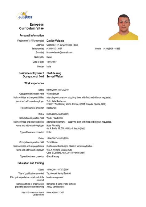 Cv Form In English Download Cv Resume Examples To Download For Free