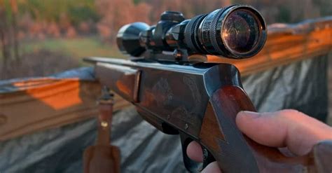 Best Deer Hunting Rifles May 2022 Buyers Guide And Reviews