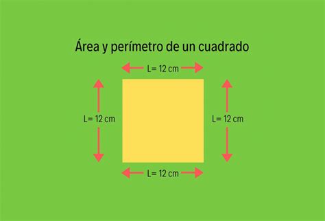 ¿sabes Calcular El área Y El Perímetro De Un Cuadrado Yo Soy Tu Profe