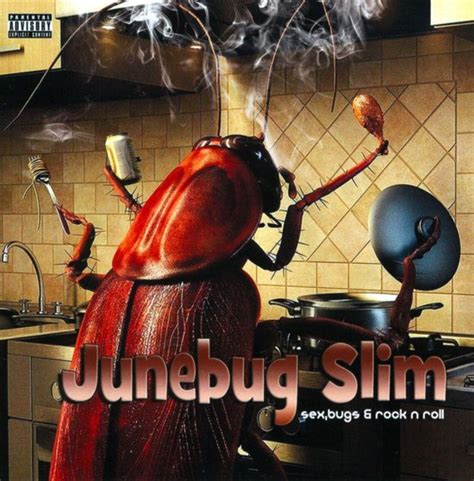 Sex Bugs And Rock N Roll Junebug Slim Cd Album Muziek