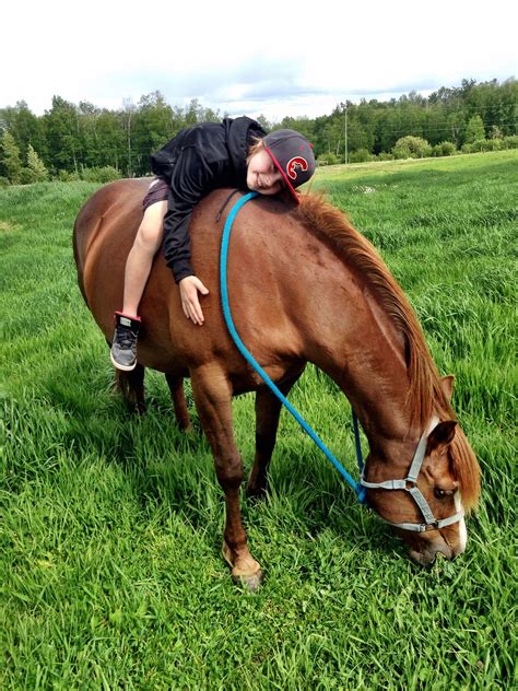 6 Reasons Why Horses Are Incredible Partners In Healing By Love Lisa
