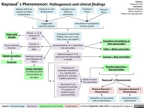 Raynaud Phenomenon Pathogenesis And Clinical Findings Calgary Guide