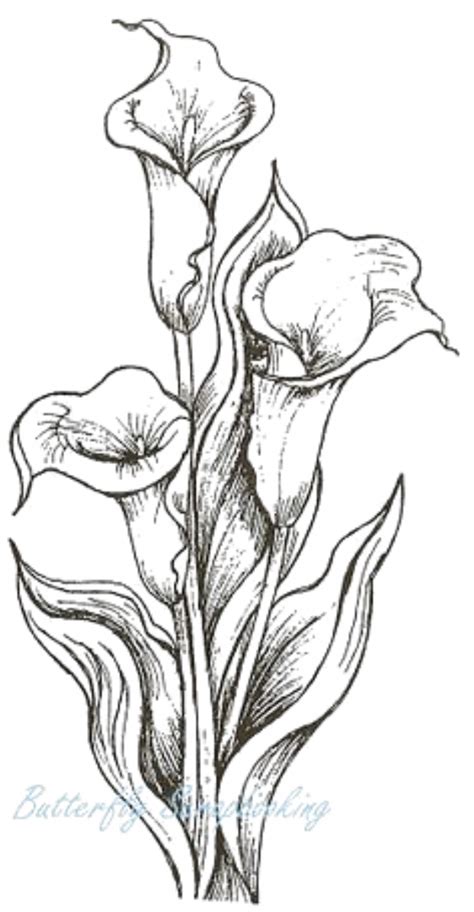 HugeDomains Com Lilies Drawing Flower Drawing Calla Lily Tattoos