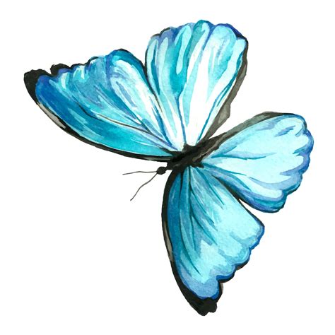 Watercolor Blue Butterfly Painting Demonstration Youtube