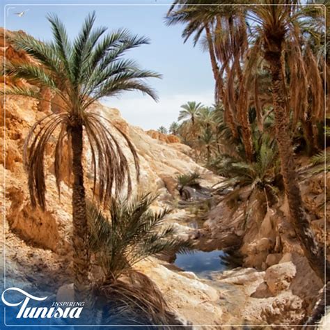 Solo Travel In Tunisia Reasons To Visit Tunisia Desert Travel