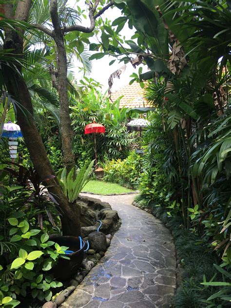 Tropical Garden At The Chillhouse Canggu Bali Tropical Garden