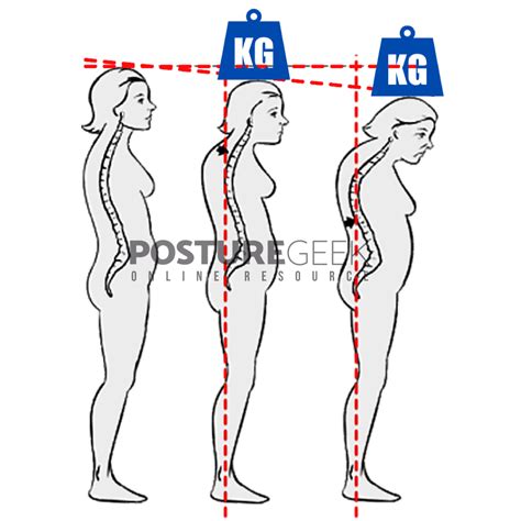 Posture And Gravity Affects On The Body Posture Geek