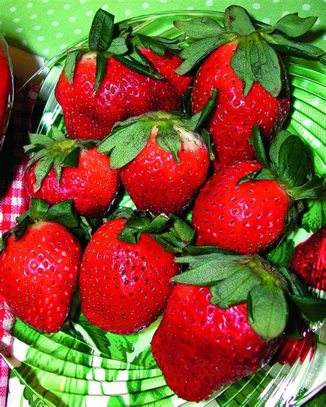 How To Grow Strawberries Strawberry Recipes Hgtvs