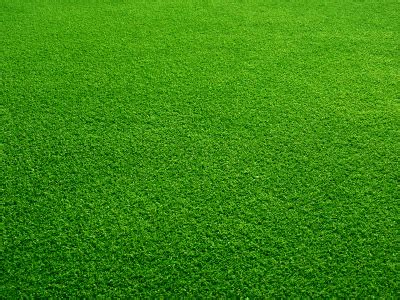 This guide has everything to know about making grass greener to get a beautiful regular maintenance is required to keep your lawn looking great, so you might want to hire a local lawn care service to handle the job for you. How to Keep your Grass Green - Lawn UK