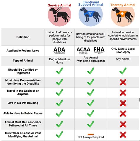 Emotional Support Animal And Service Dog Official Service Dog
