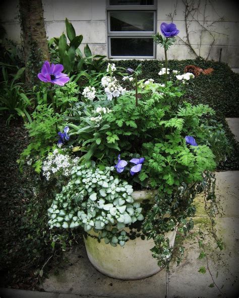 501 Best Container Gardening Images On Pinterest