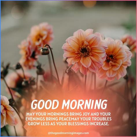 Best Good Morning Blessings Images With Quotes And Wishes
