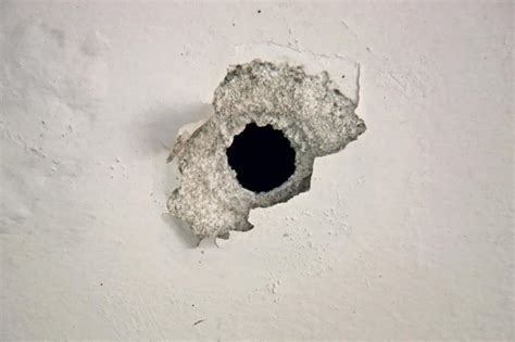 Edge Media Network Only In Florida Police On Lookout For Glory Hole