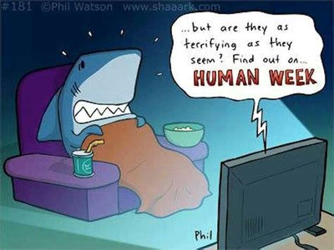 Human Week Sharky Sharks Misunderstood Shark Funny Cartoons Shark