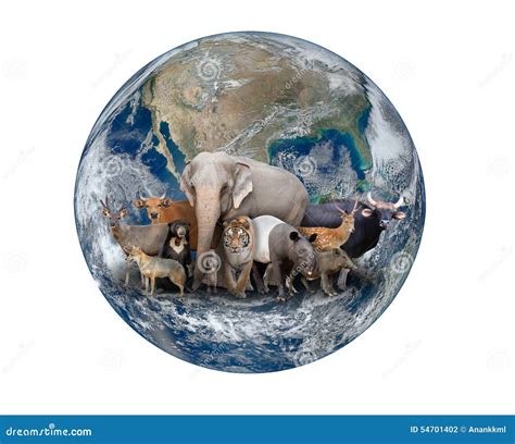 Group Of Asia Animal With Planet Earth Stock Photography