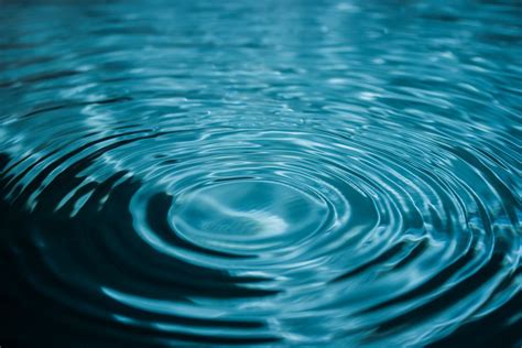 Free Images Water Drop Wave Petal Atmosphere Line Reflection