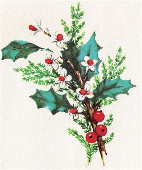 Christmas Illustration 1071 Vintage Christmas Cards Mistletoe
